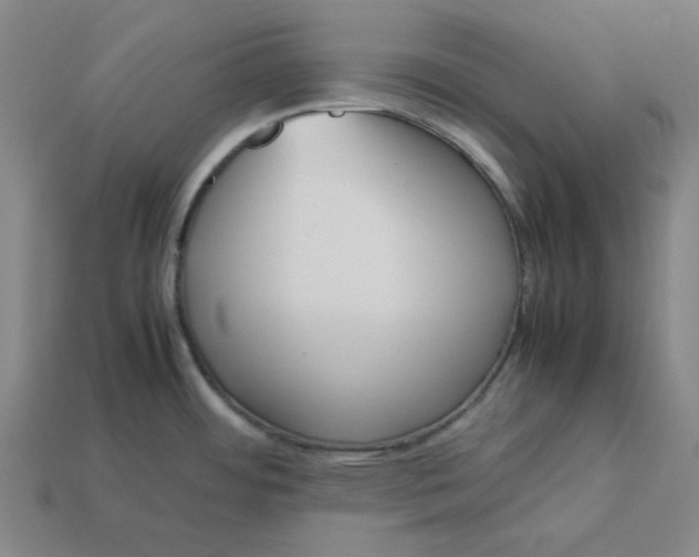 X0000113351484200910061008