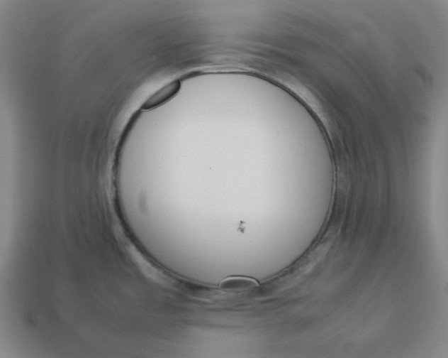 X0000113351485200910061008