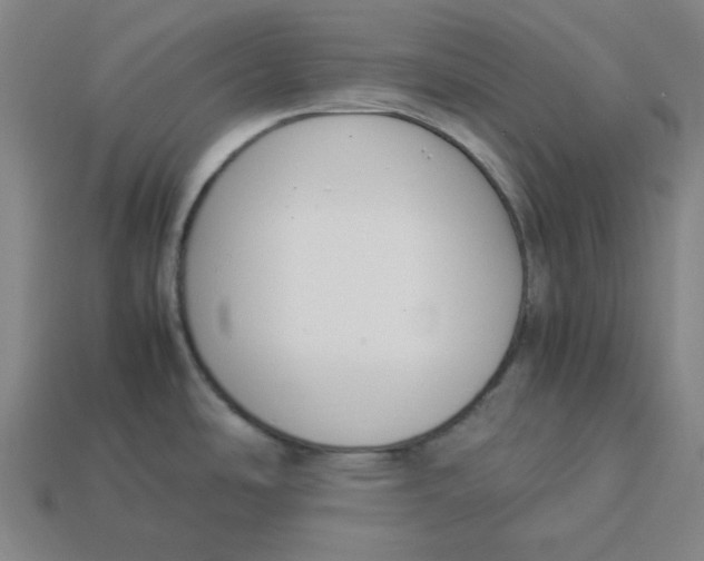 X0000113351486200910061008