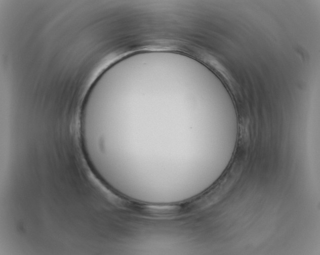 X0000113351487200910061008