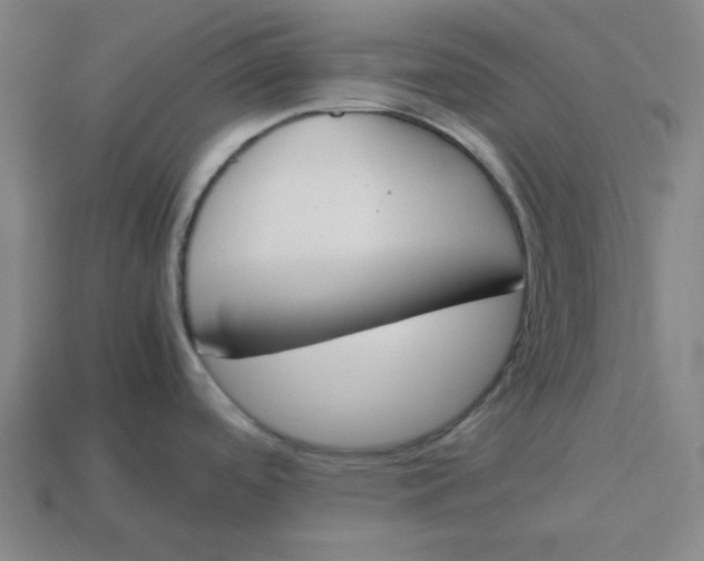 X0000113351488200910061008