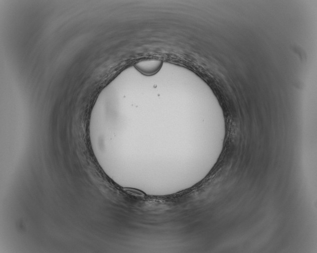 X0000113351489200910061008