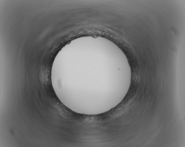 X0000113351490200910061008