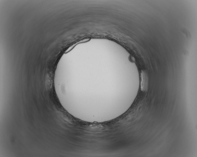 X0000113351491200910061008