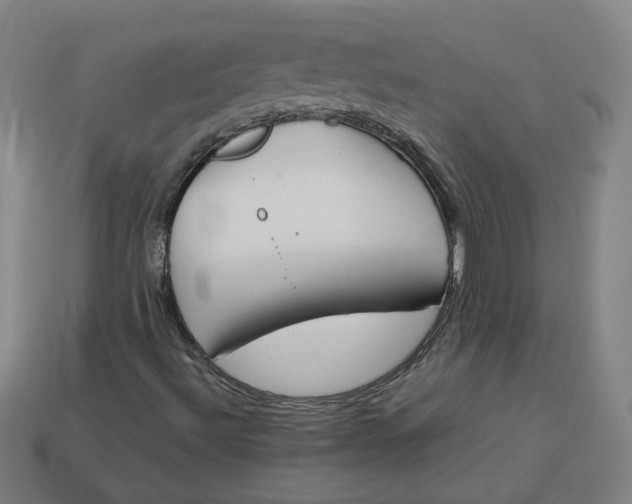 X0000113351492200910061008