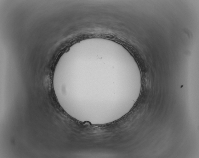 X0000113351493200910061008