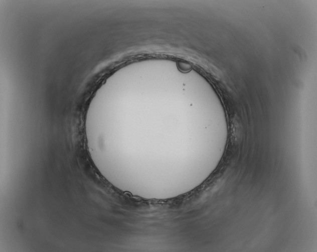 X0000113351494200910061008