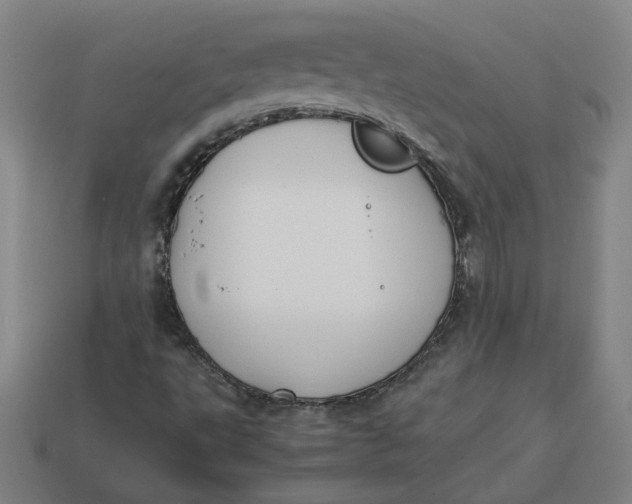 X0000113351495200910061008