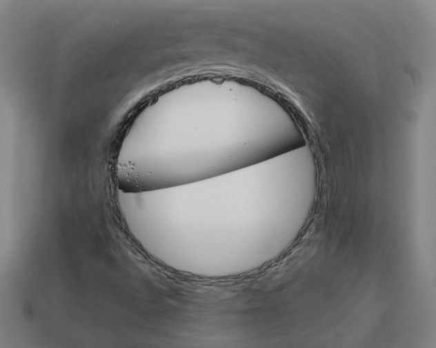 X0000113351496200910061008