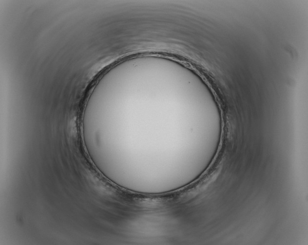 X0000113351497200910061008