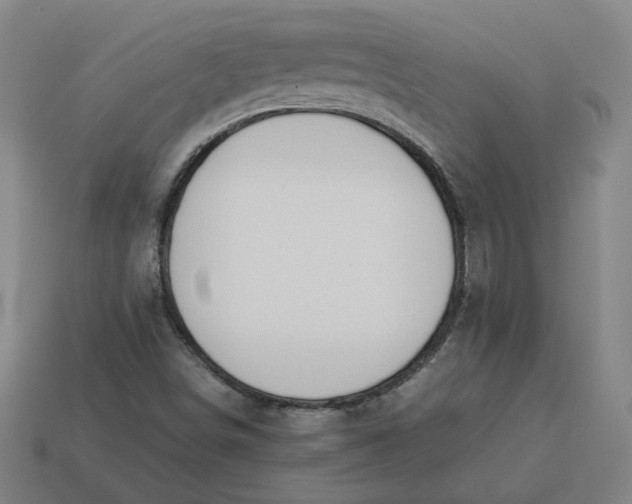 X0000113351498200910061008