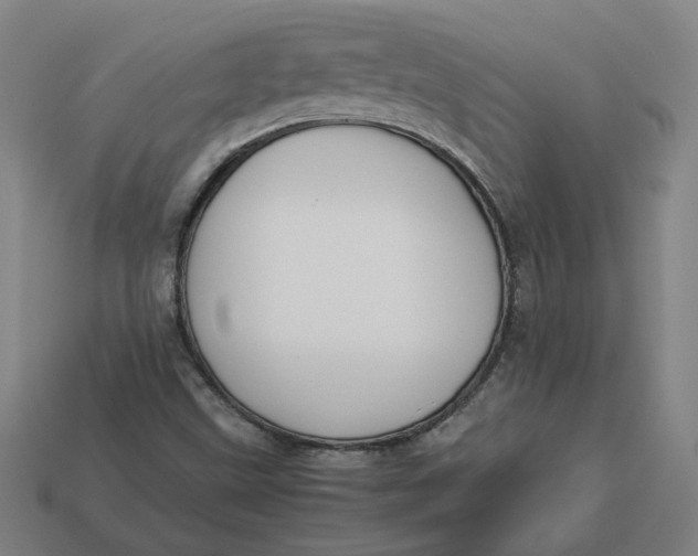 X0000113351499200910061008