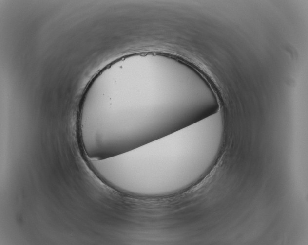 X0000113351500200910061008