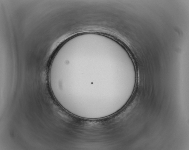 X0000113351501200910061008