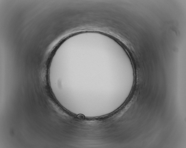 X0000113351502200910061008