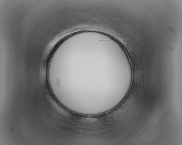 X0000113351503200910061008