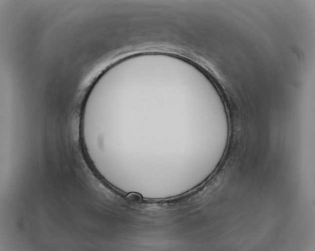 X0000113351504200910061008