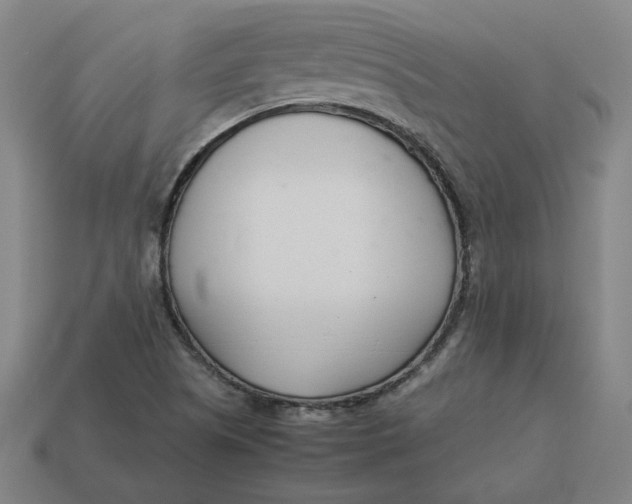 X0000113351505200910061008