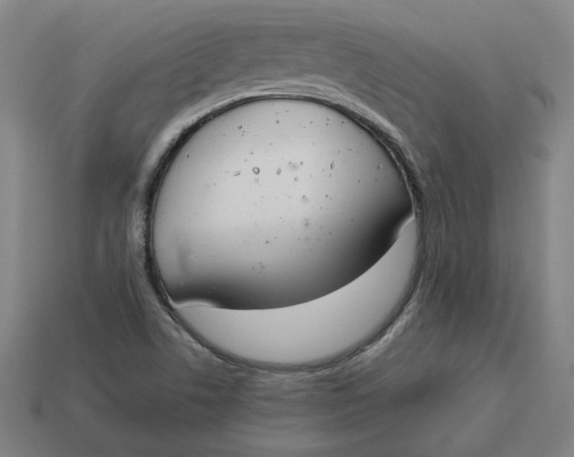 X0000113351506200910061008