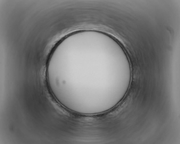 X0000113351507200910061008