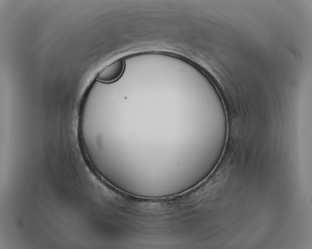 X0000113351508200910061008