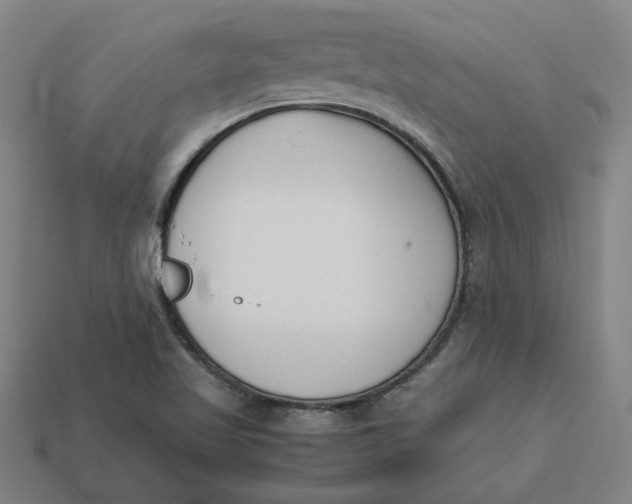 X0000113351509200910061008