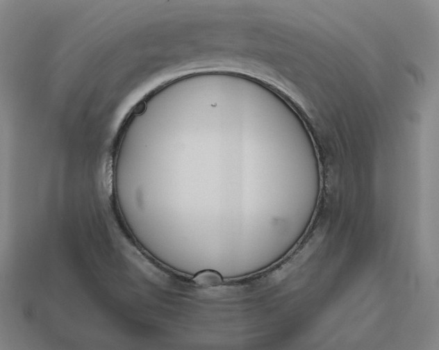 X0000113351510200910061008