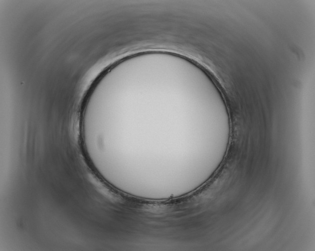 X0000113351511200910061008