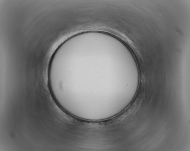 X0000113351512200910061008