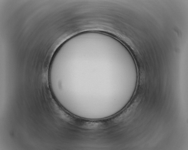 X0000113351513200910061008