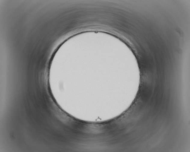 X0000113351514200910061008