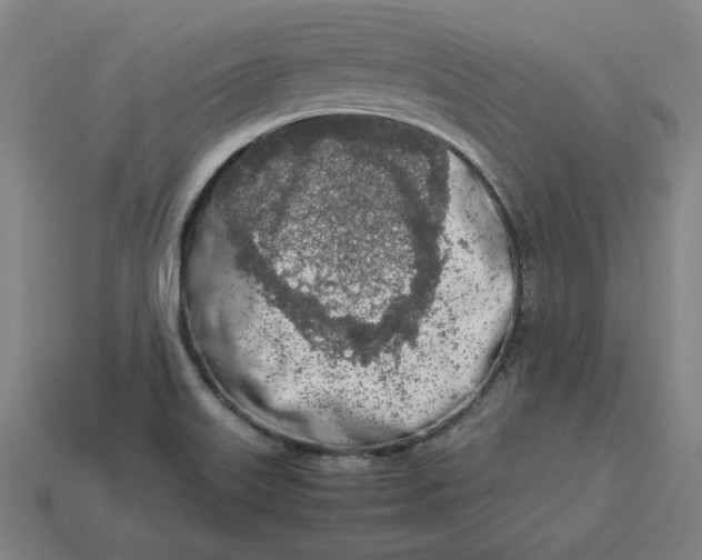 X0000113351515200910061008