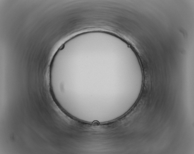 X0000113351516200910061008