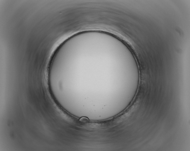 X0000113351517200910061008