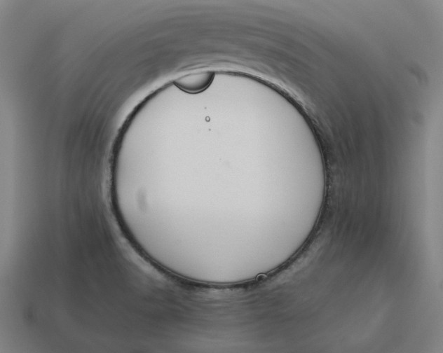 X0000113351518200910061008