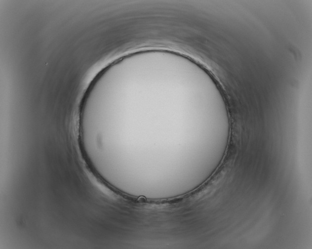 X0000113351519200910061008