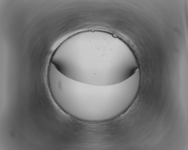 X0000113351520200910061008