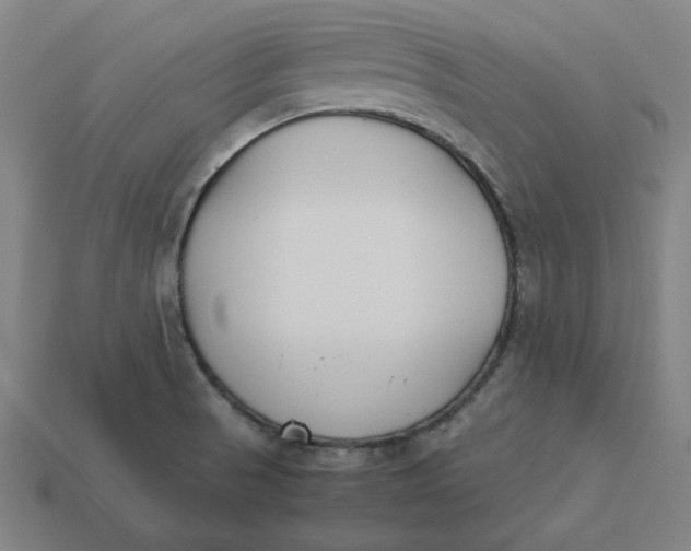 X0000113351521200910061008