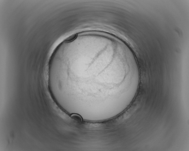 X0000113351522200910061008