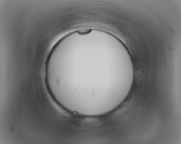 X0000113351523200910061008