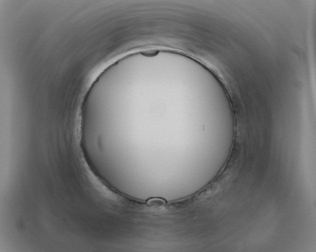 X0000113351524200910061008