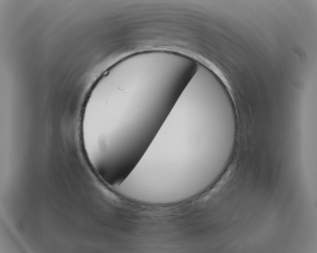 X0000113351525200910061008