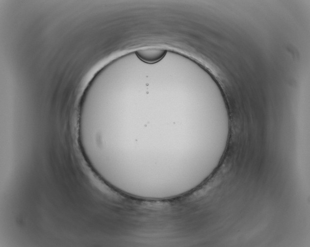 X0000113351526200910061008