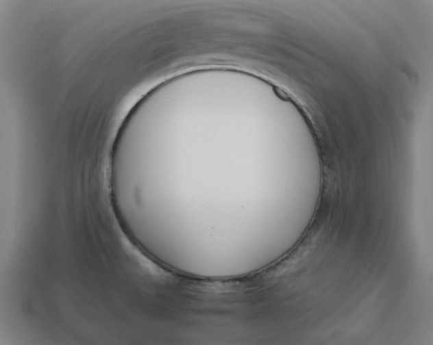 X0000113351527200910061008