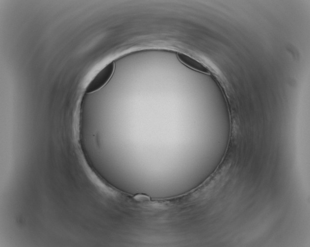 X0000113351528200910061008