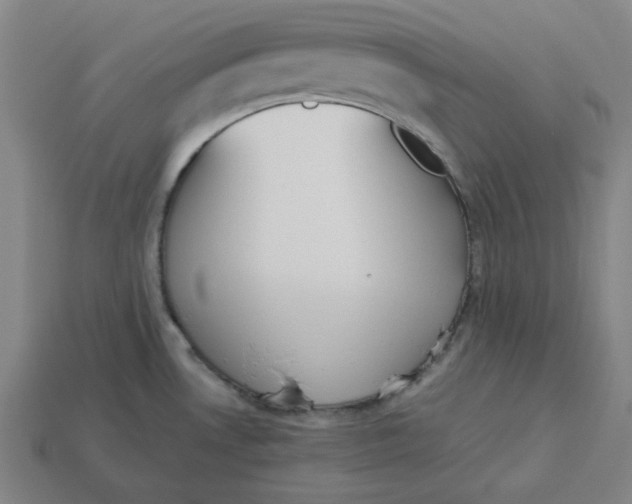 X0000113351530200910061008