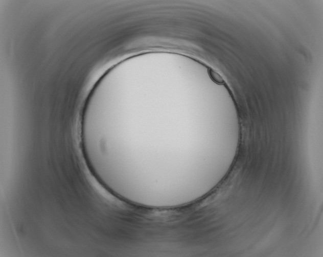 X0000113351531200910061008