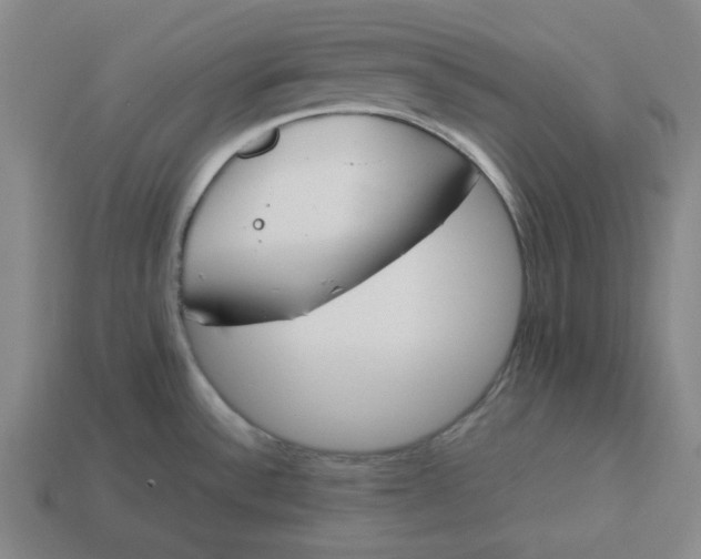 X0000113351532200910061008