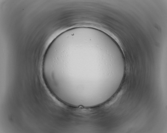 X0000113351533200910061008