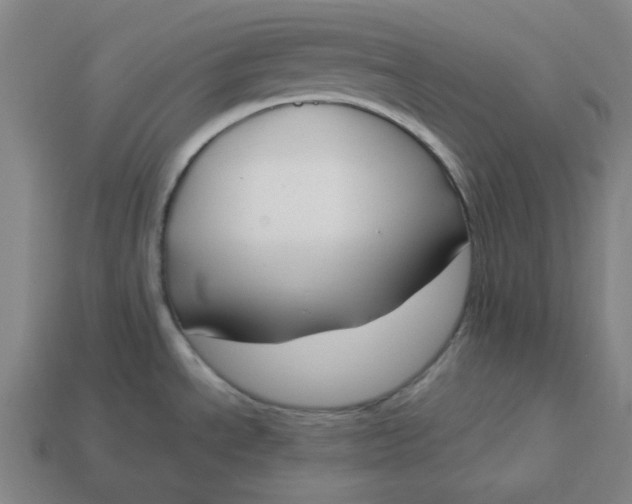 X0000113351534200910061008